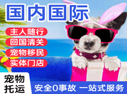 哈尔滨平房机场托运国际宠物托运 【国